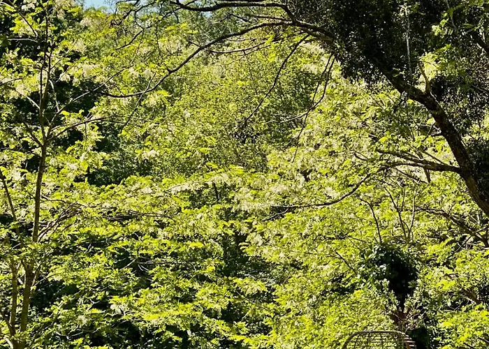 Stunning Boutique Faune At Vive Le * Bussiere-Badil