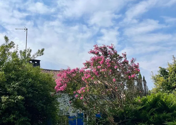 Stunning Boutique Faune At Vive Le Дом отдыха Bussiere-Badil