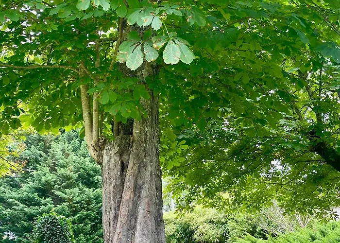 Stunning Boutique Faune At Vive Le Bussiere-Badil