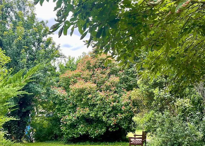 Semesterbostad Stunning Boutique Faune At Vive Le