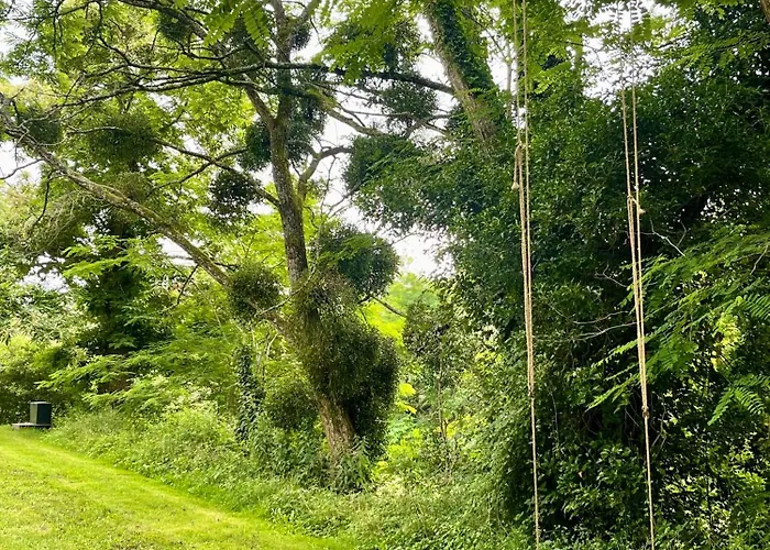 Дом отдыха Stunning Boutique Faune At Vive Le